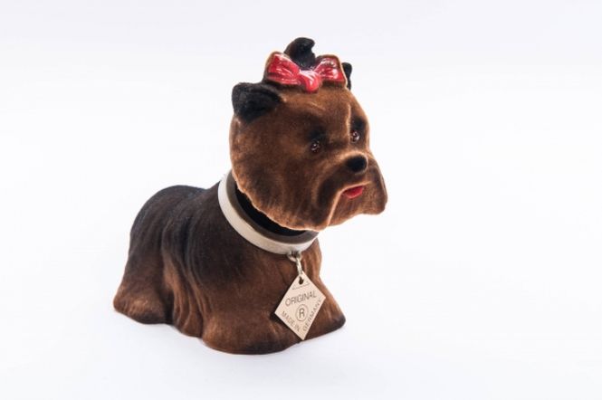 Main Image Jorkshire Terrier - liten nikkehund