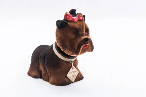 Jorkshire Terrier - liten nikkehund